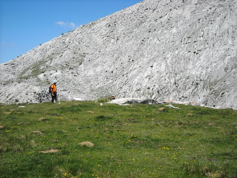 Solano de Ezkaurre trikuharria