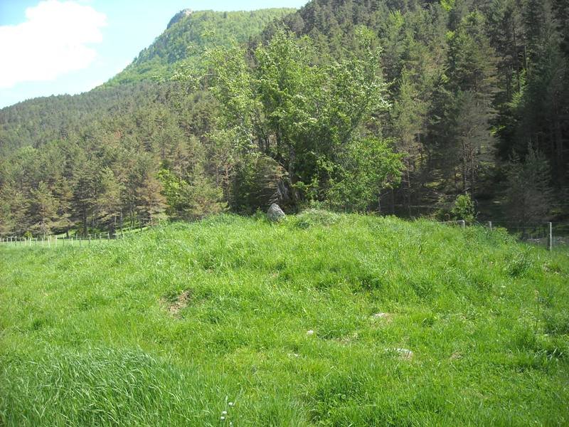 Lubrakieta trikuharria