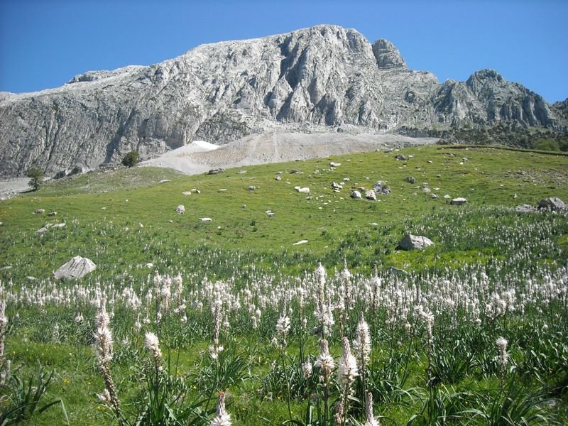 Ezkaurre hegoaldetik  ikusita