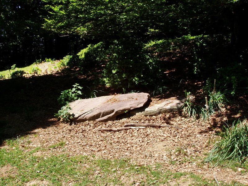 Motxorroko lepoko zutarria