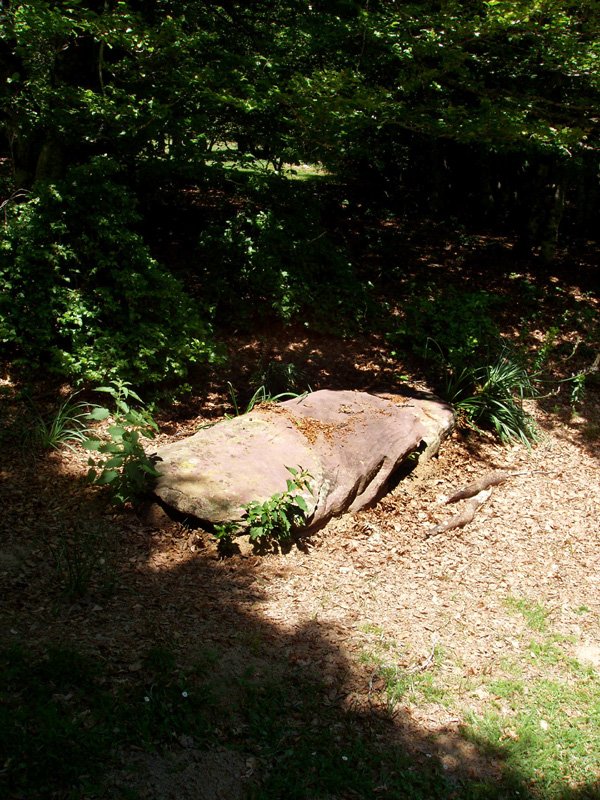 Motxorroko lepoko zutarria