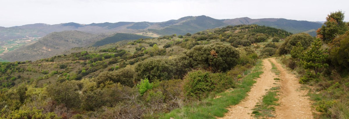 Gainez gain eramanen gaituen bidea