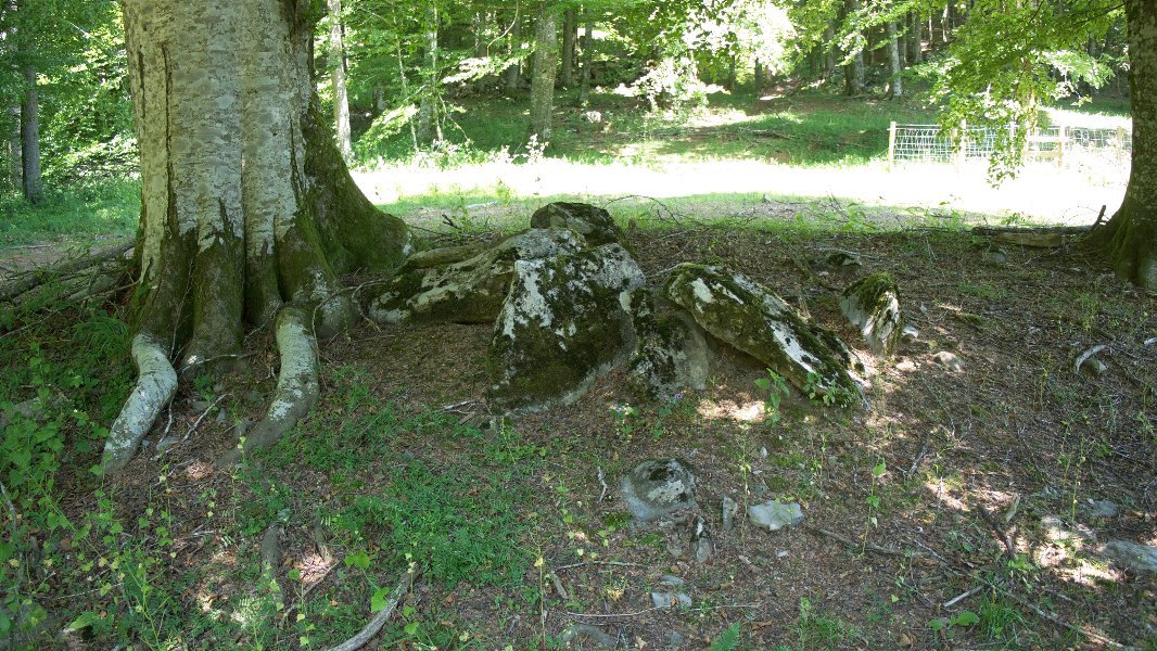 Zalantzazko argazkia