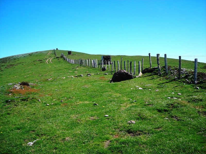 Uztanborro  trikuharria