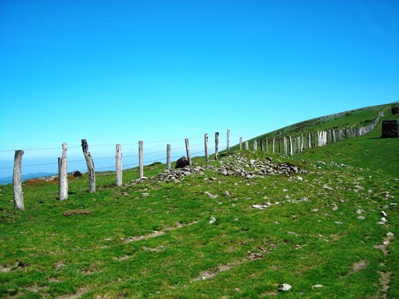 Uztanborro trikuharria