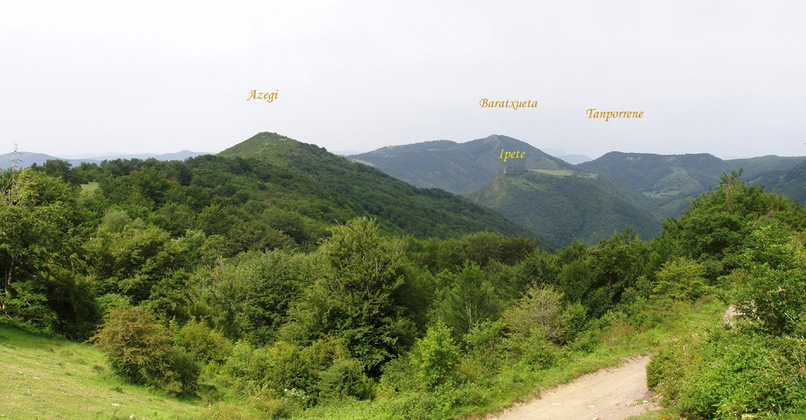 Ikuspegia Gurutxagako lepotik