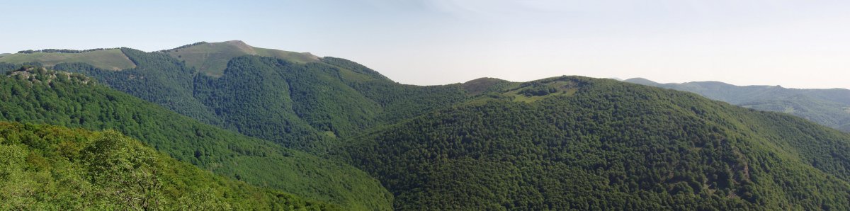 Xuriain eta Erregerena Burdindogitik