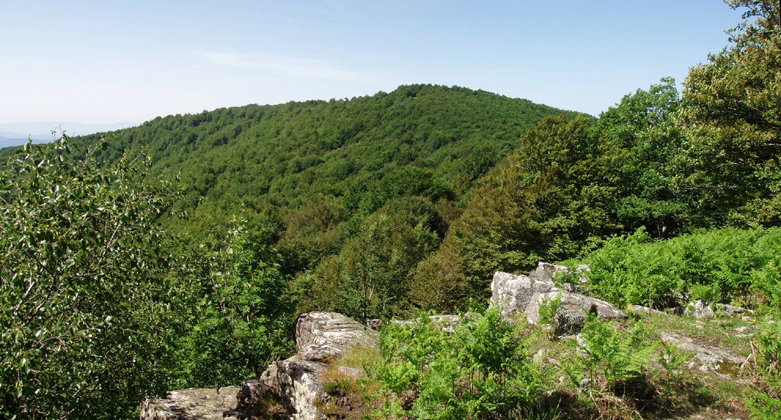 Goitean Leateko gailurretik