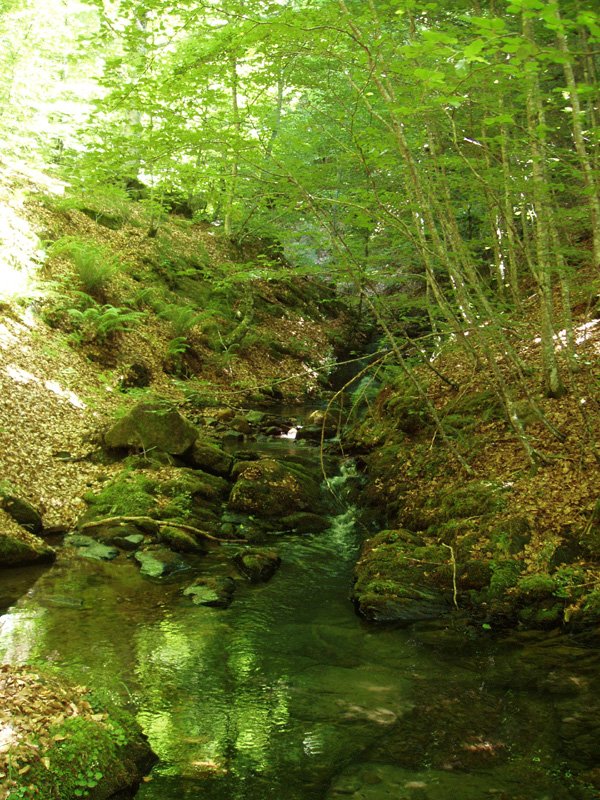 Zugarrandiko erreka, Iragi herriaren inguruan