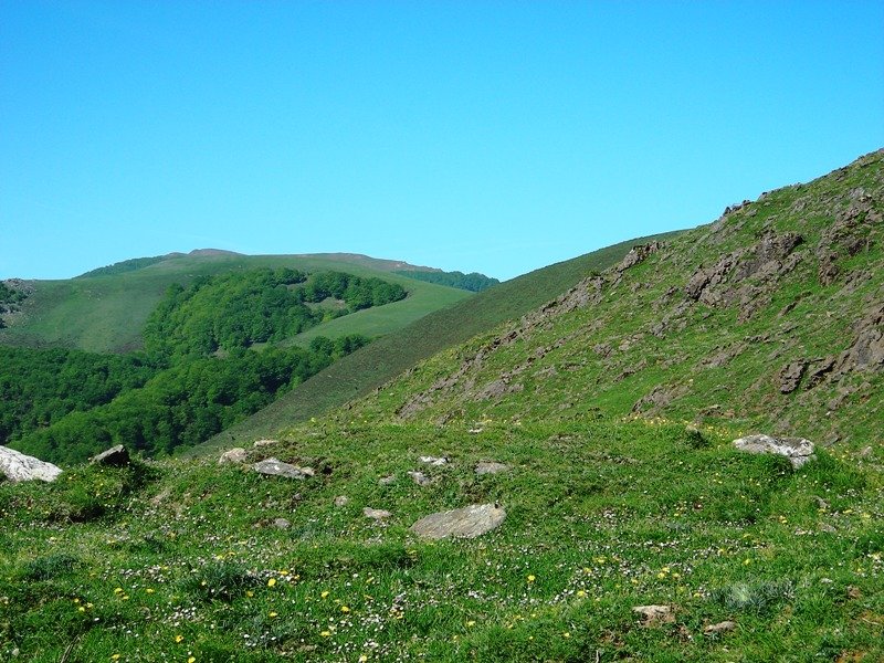 Gurutze Meaka harrespila