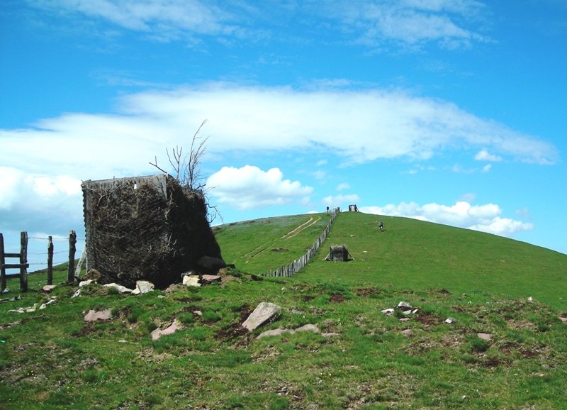 Buztanberro 1 harrespila