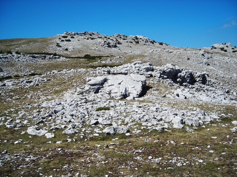 Aitz Txuri trikuharria