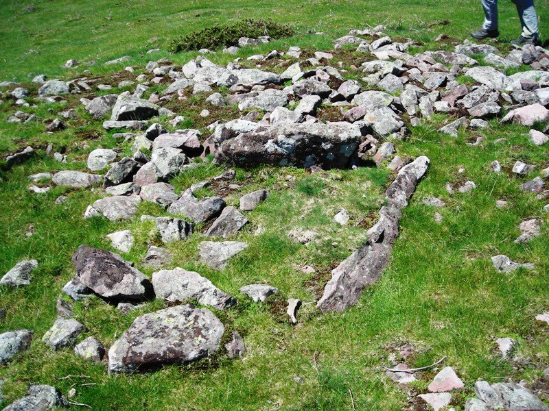 Luurzu 3 trikuharria