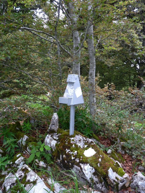 Malgorrako txartelontzia