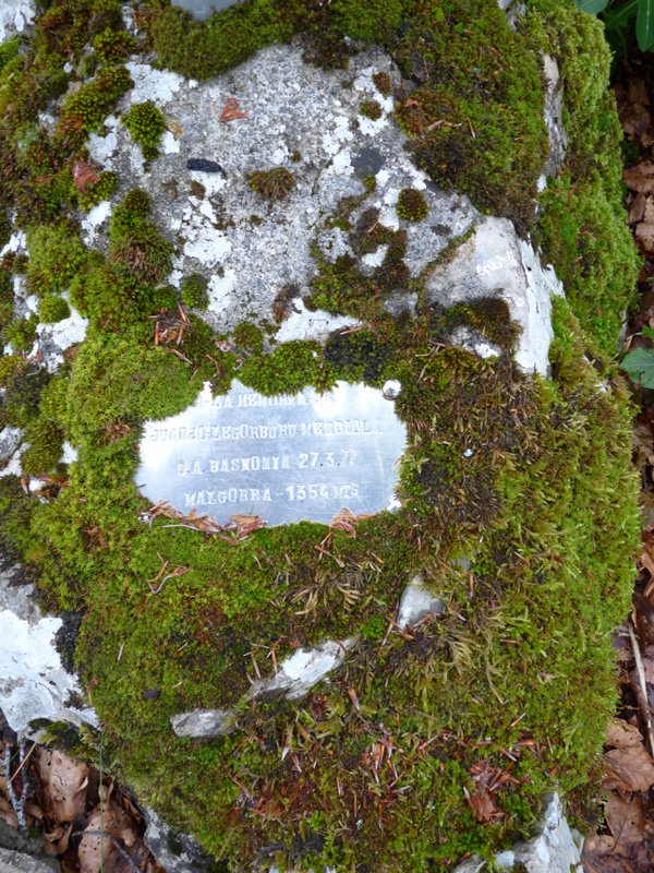 Oroigarri xumea Malgorrako gailurrean