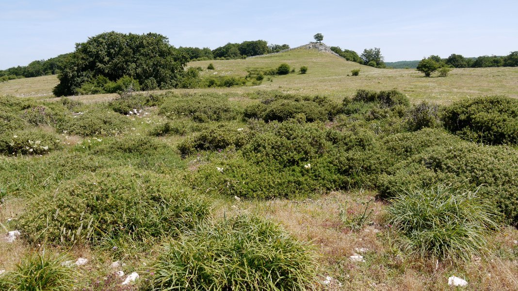 Sastraka hauen azpian dago tumulua. Atzeko tontorra Bardoitzarena da.