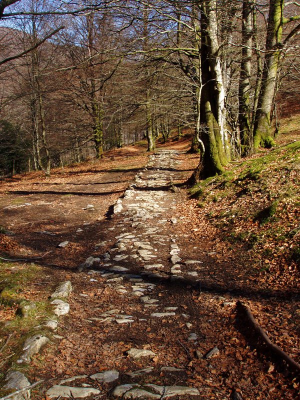 Eltzaburuko galtzada, Arlengo Harriaren hegietan