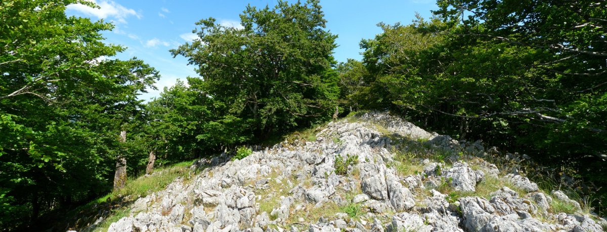 Arlengo Harriko hegoaldeko gailurra