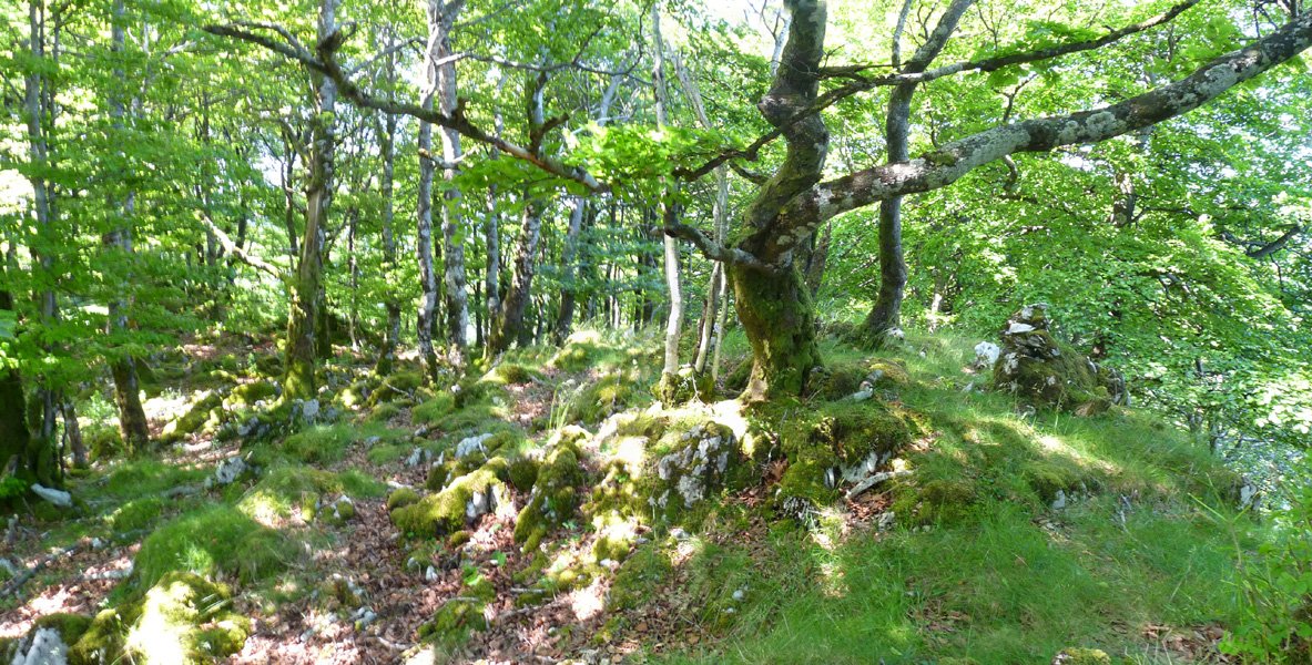 Arlengo Harriko hegoaldeko gailurra