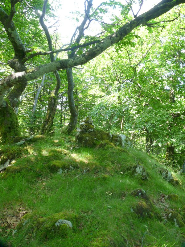 Arlengo Harriko hegoaldeko gailurra