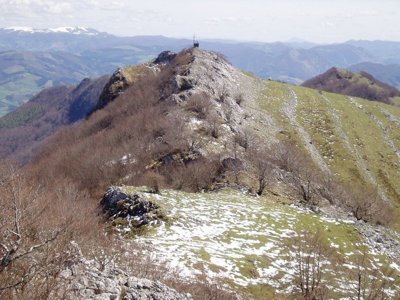 Mako Herniotik ikusita