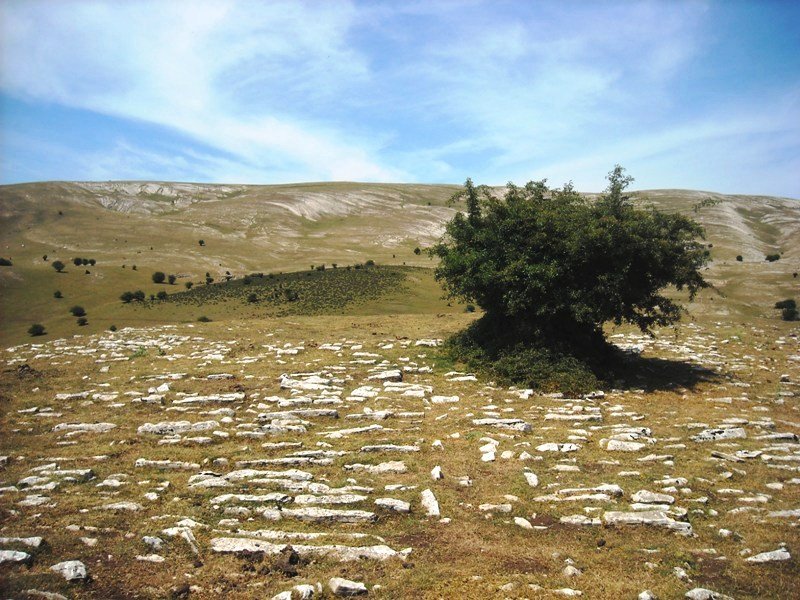 Usalderen tumulo de anillo