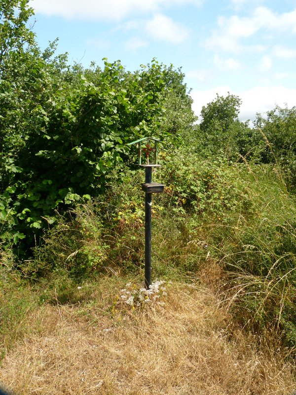 Iruñeko Donibane Mendi Taldeak jarritako buzoia