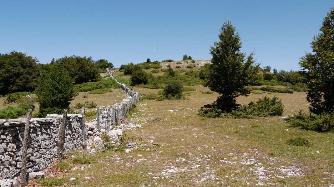Hegoaldeko lepotik ikusita