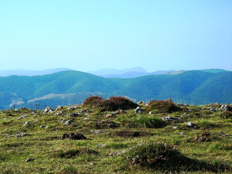 Iturmendiko Portua 1