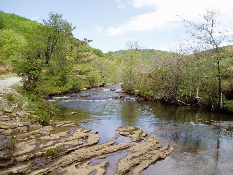Baias erreka Arkarai ete Arlobiko zubiaren artean