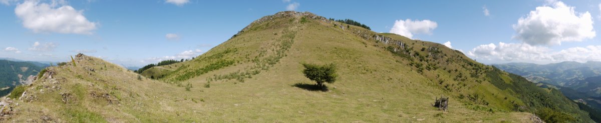Tontorra Hegoaldeko bizkarretik