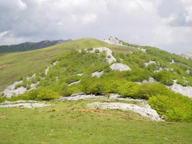 Ipargorta eta Gorosteta Usotegietatik ikusita