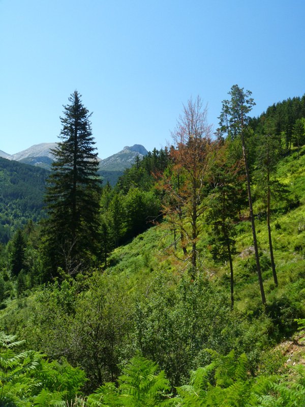 Paisaia zoragarriak bidean