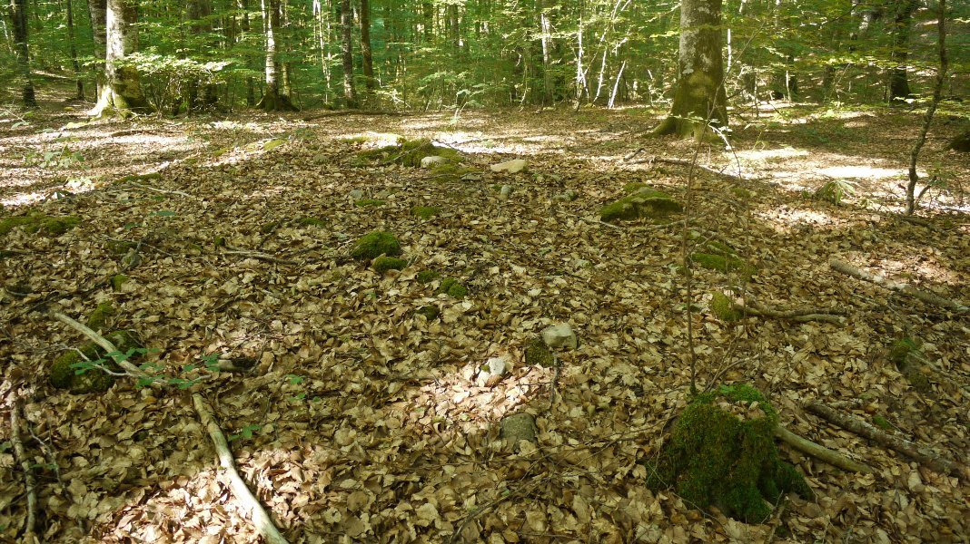 Gainaldean ez da harlosa handirik nabari