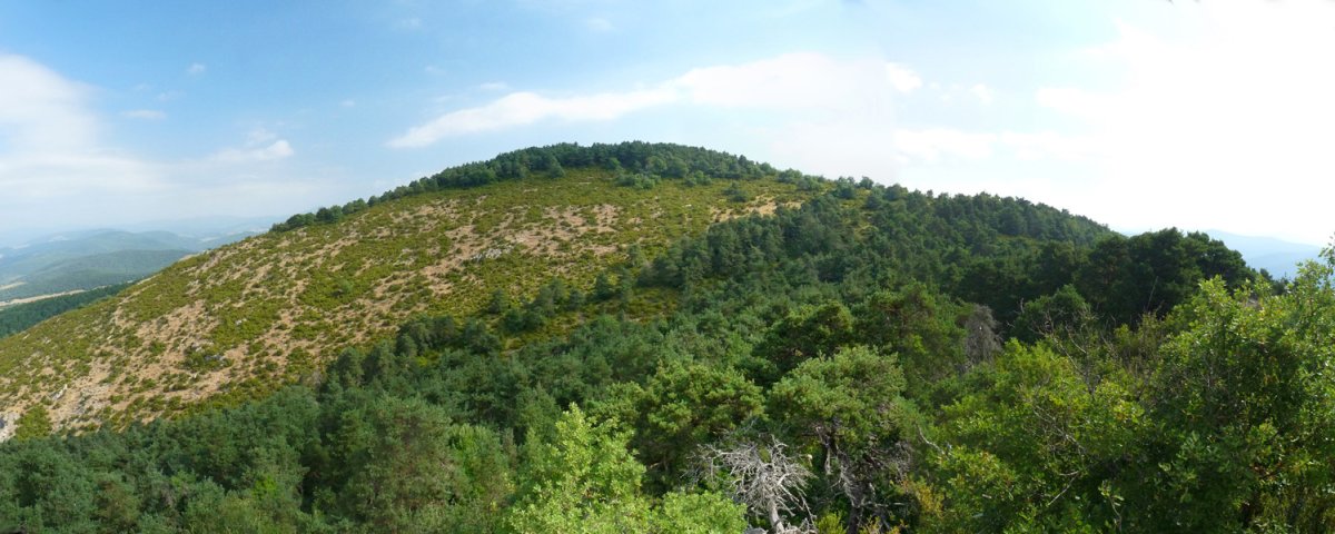 Elixato Berrondo Haitzetik