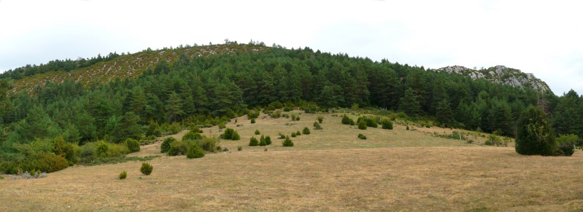 Errasako lepoa, Aritzgañako bizkarraren azpian