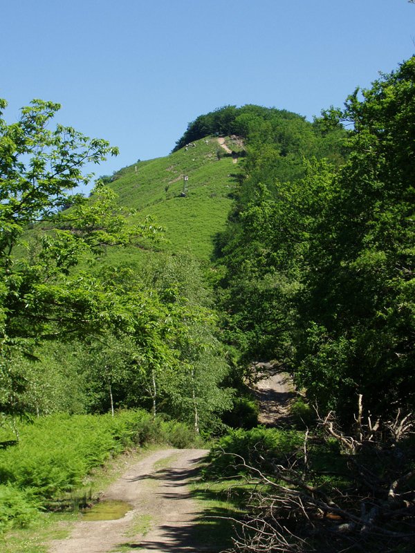 Irubagoeta (563m) Suspiroko lepotik