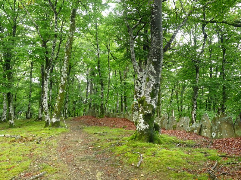 Ezkirin (Añolatz), gailurra