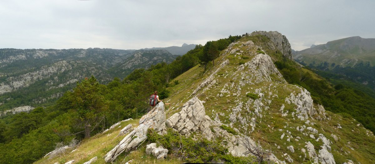 Lapazarrako gandorrean gora