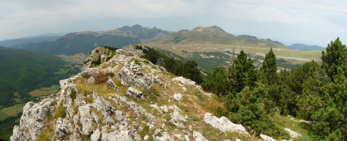 Lapazarrako gailurra