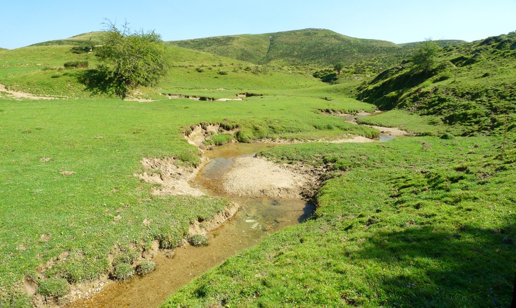 Sobarreko erreka, desagertzear Ursarioko bazterrean