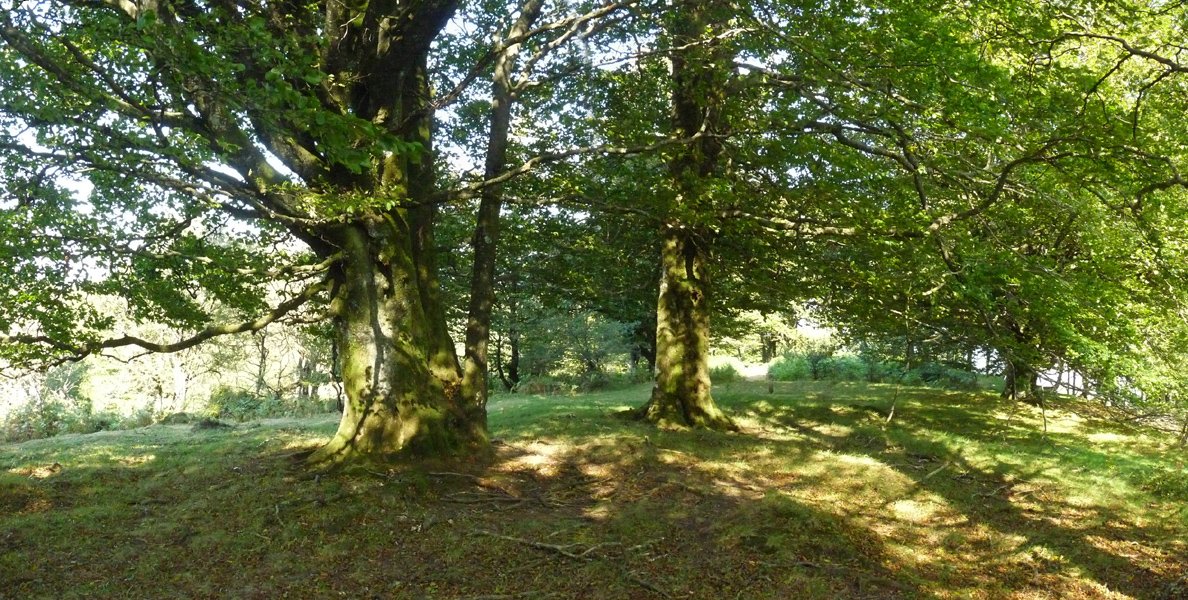 Lertzako gailurra. Txartelontzia desagertu egin da