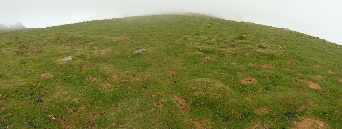 Urdiako Harria: ustezko bi monumentu irudian