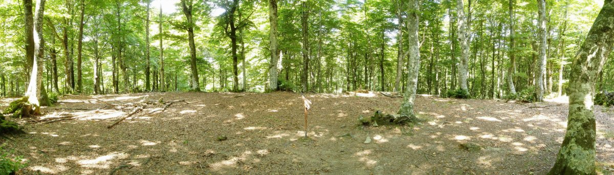 Mendebaldeko tontorra