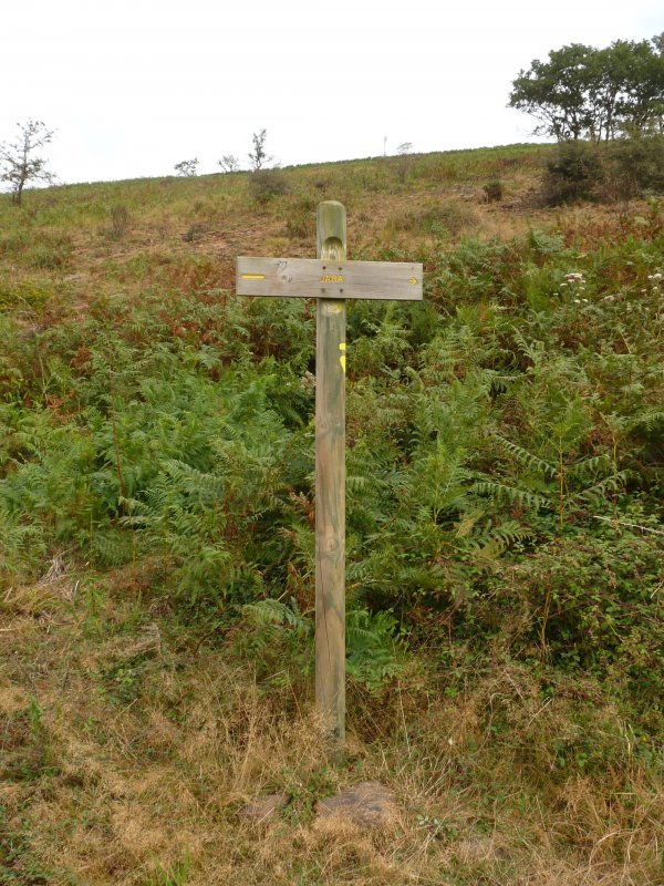 Adierazgarria bidean