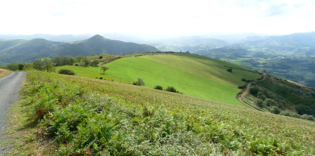 Jarako ekialdeko bizkarra