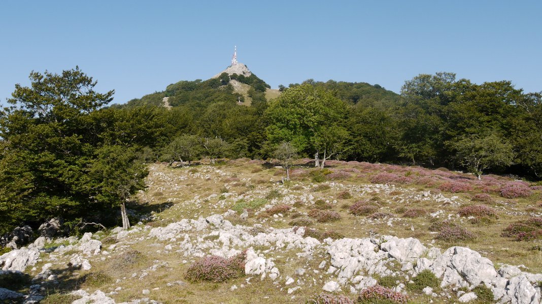 Ekialdeko bizkarretik ikusita