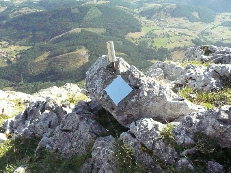 Buzoi Berria? (Bestea Desagertu Da)