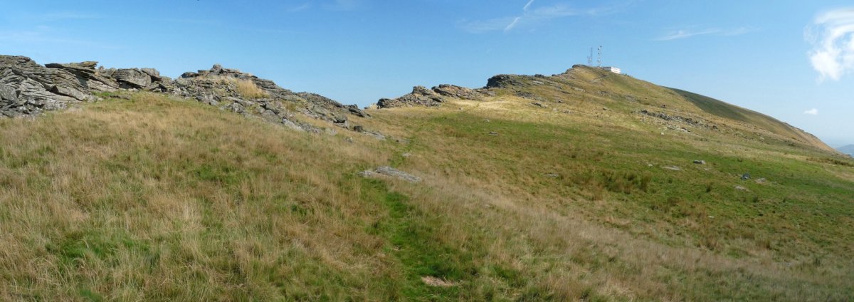 Artzemendiko gandorra eta gailurra