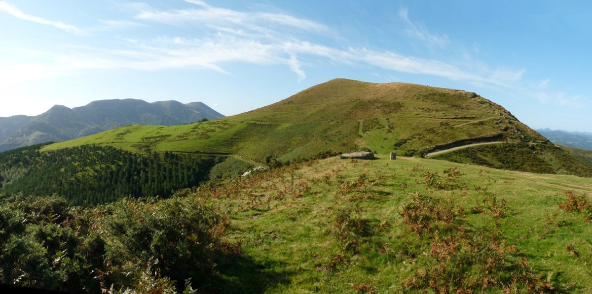 Gorospilgo zutarria eta Lizartzu